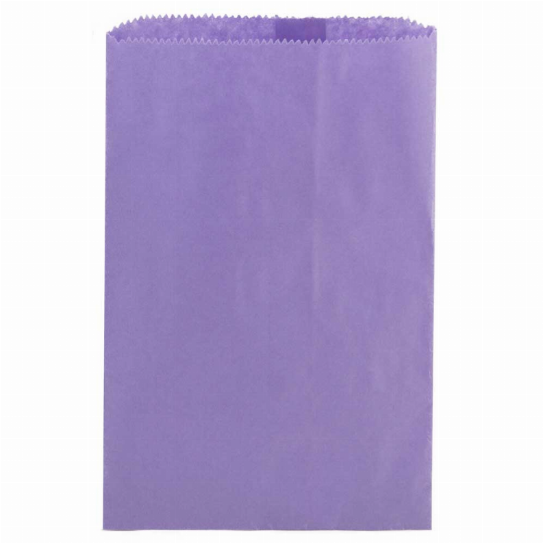 Pinch Bottom Bag - 6inx9in Purple