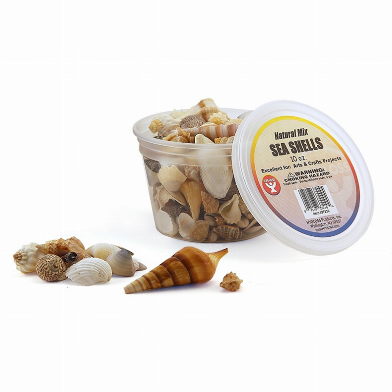 Seashells - 10 oz  Natural Mix