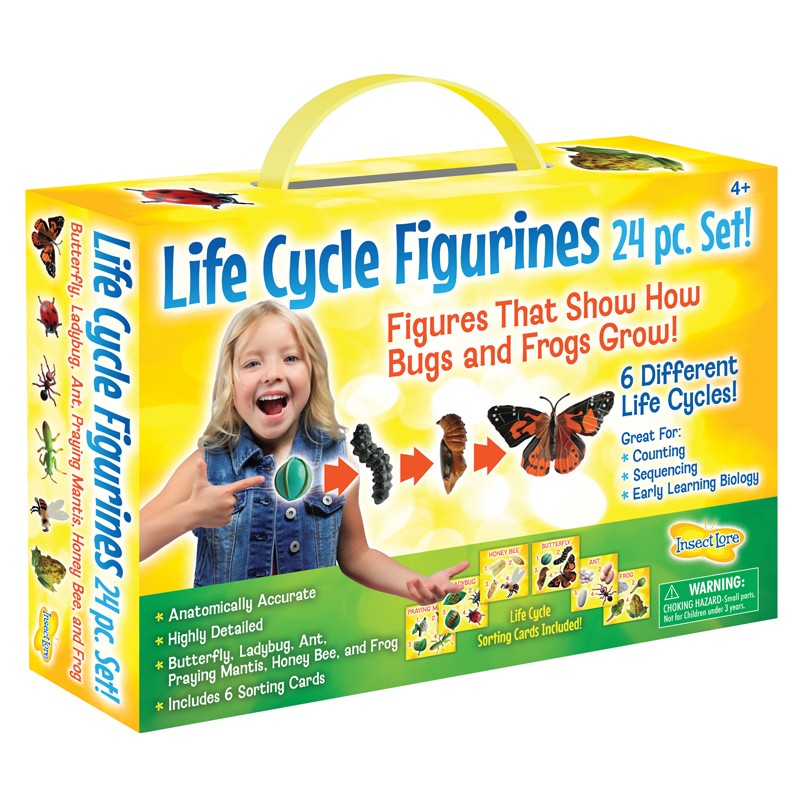 Life Cycle Figurines Set, 24 Pieces