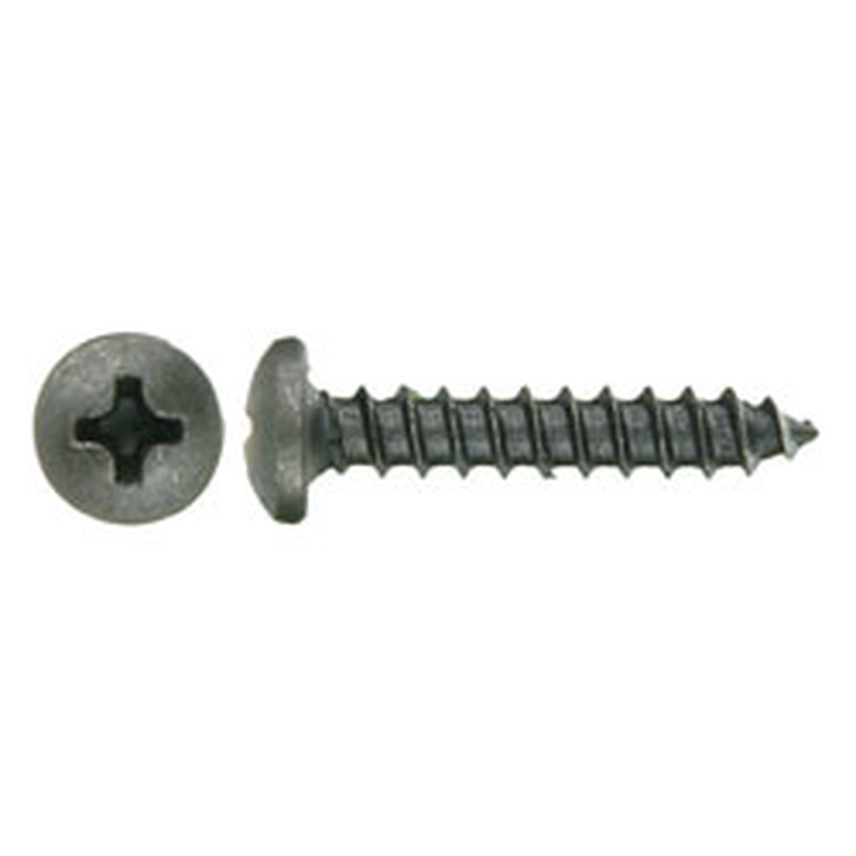 Screws Phillips Hd #8 3/4 in. 500Pk