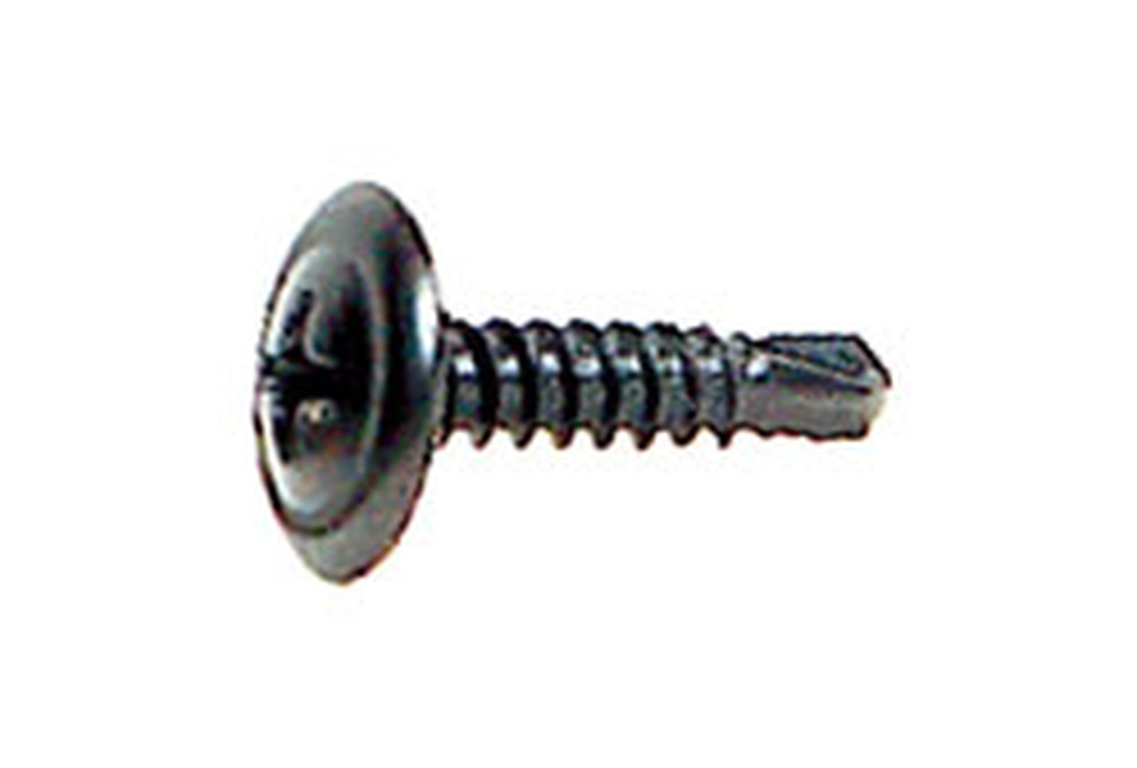 Screws Philips Wafer Head #8X3/4 in. 50