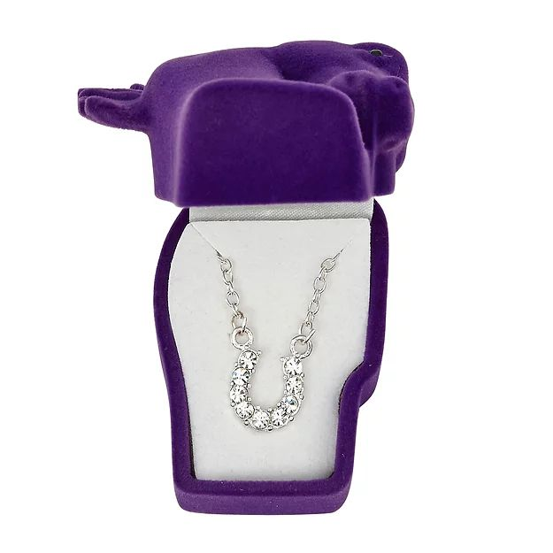 AWST Int'l Aqua Rhinestone Horseshoe Necklace with Horse Head Gift Box