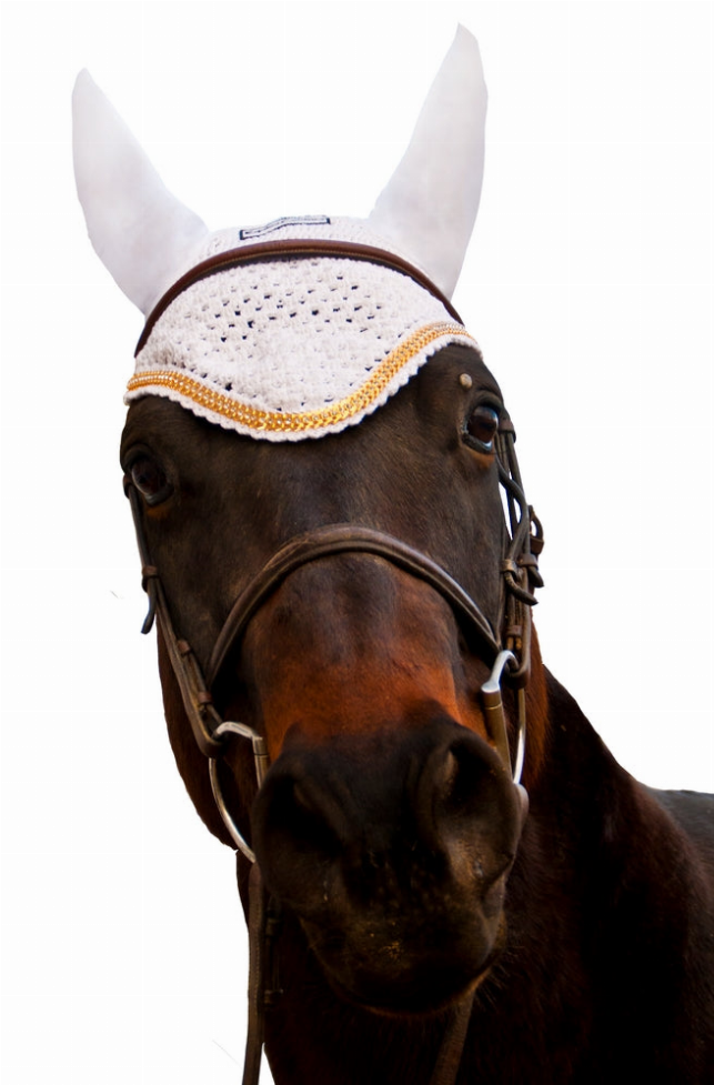 Equine Couture Fly Bonnet with Gold Chain Cob White
