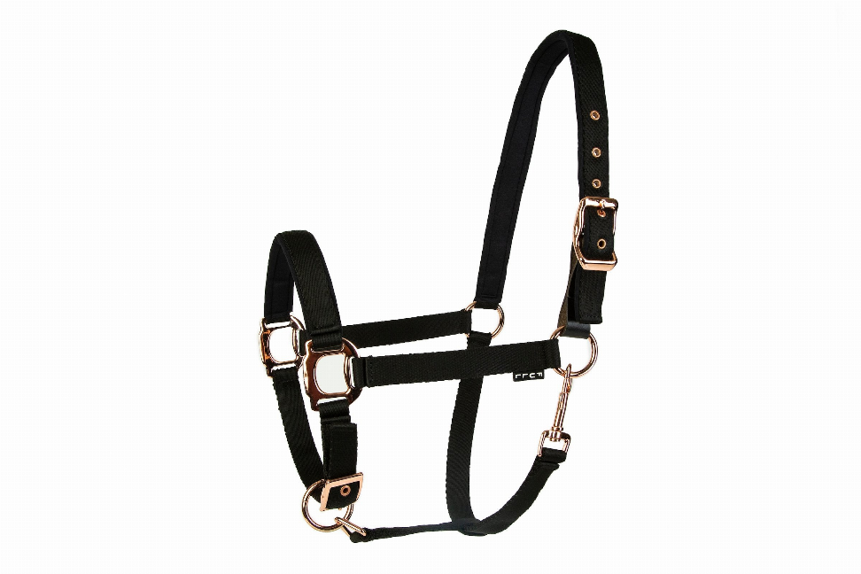 Lettia Rosegold Padded Leather Breakaway Halter Horse Black/Rosegold Hardware