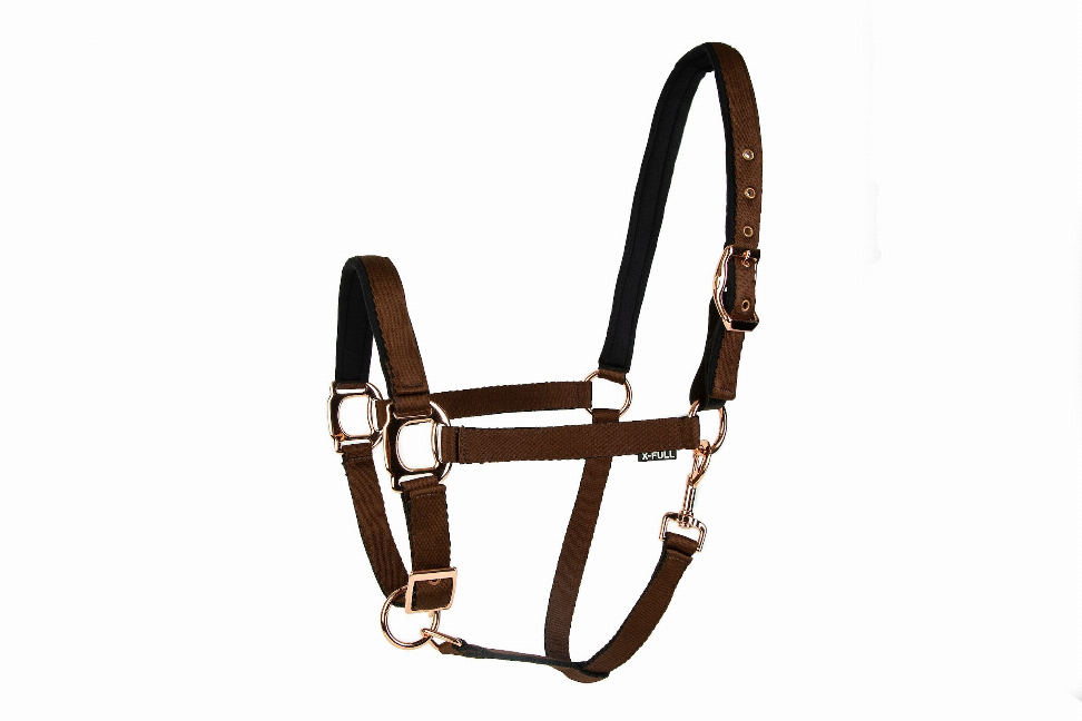 Lettia Rosegold Padded Leather Breakaway Halter Oversize Dark Brown / Rosegold Hardware