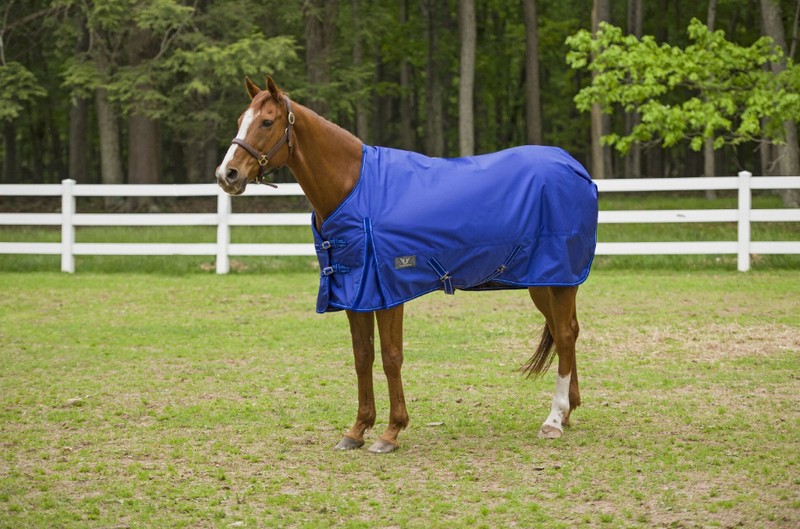 TuffRider 1600 D Super Comfy Standard Neck Blanket 78 Royal