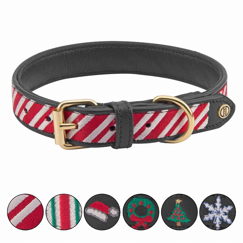 Halo Dog Collar  L  Leather with Candy Cane Embroidery