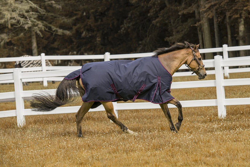 TuffRider 1200 D Comfy Winter Blanket 87 Navy