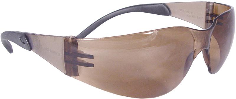 4-2455 Tint Safety Glasses