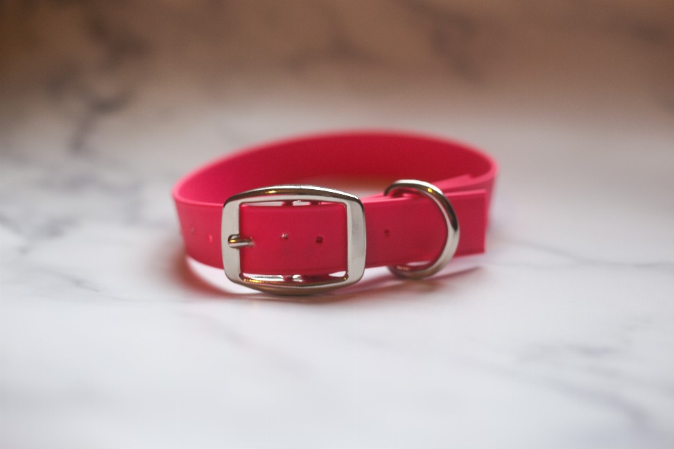 Biothane Buckle Dog Collar - Small/Medium 12-14 inches Red