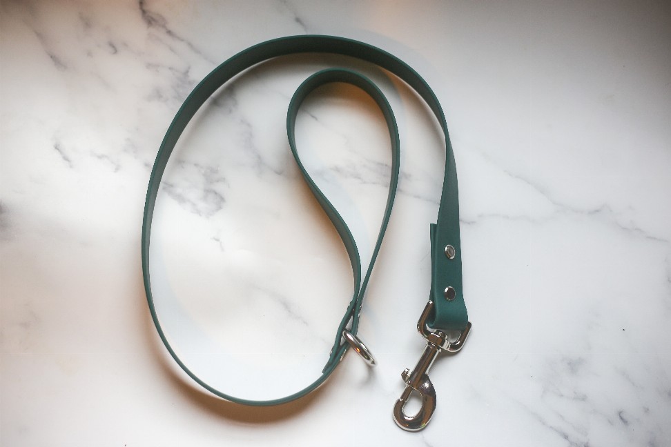 Biothane Leash - 5 feet Teal