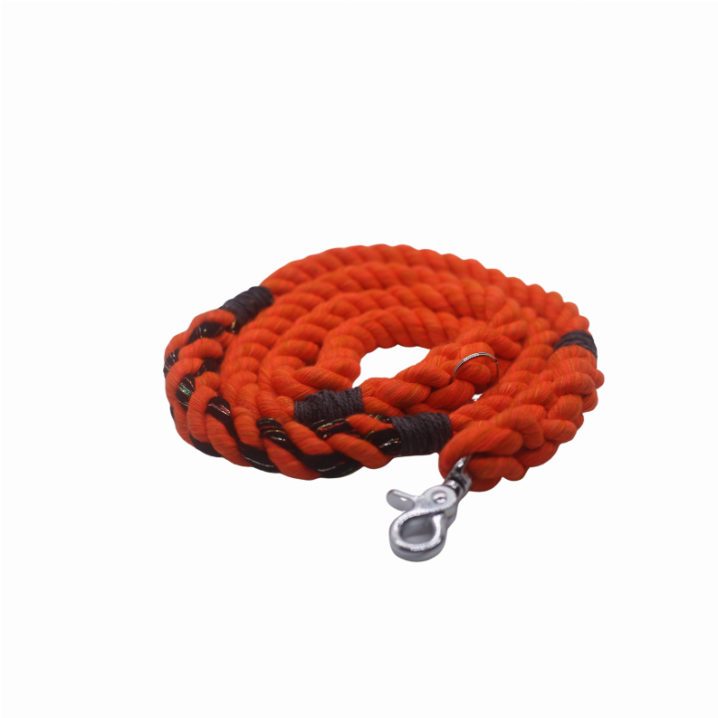 Halloween Leash - 5 ft Halloween