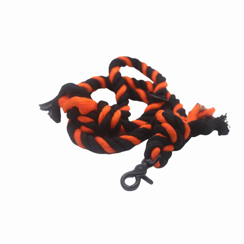 Halloween Leash - 6 ft Halloween Stripes