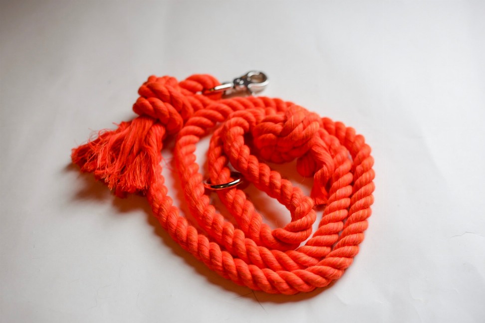 Knotted Rope Dog Leash - 4 ft Orange
