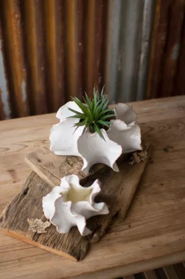 Set Of Two Organic Ceramic Planters