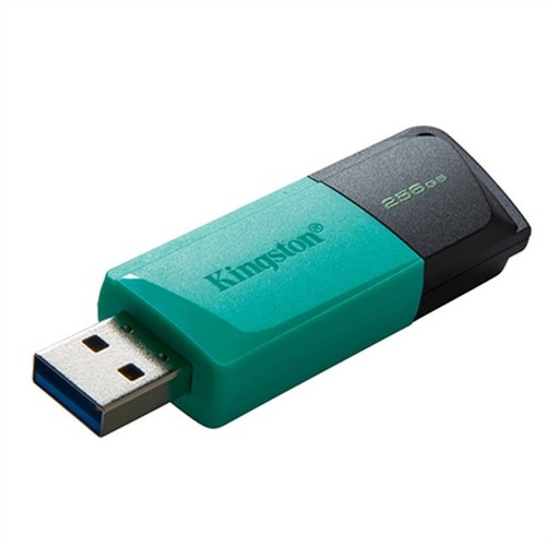 Kingston Data Traverler