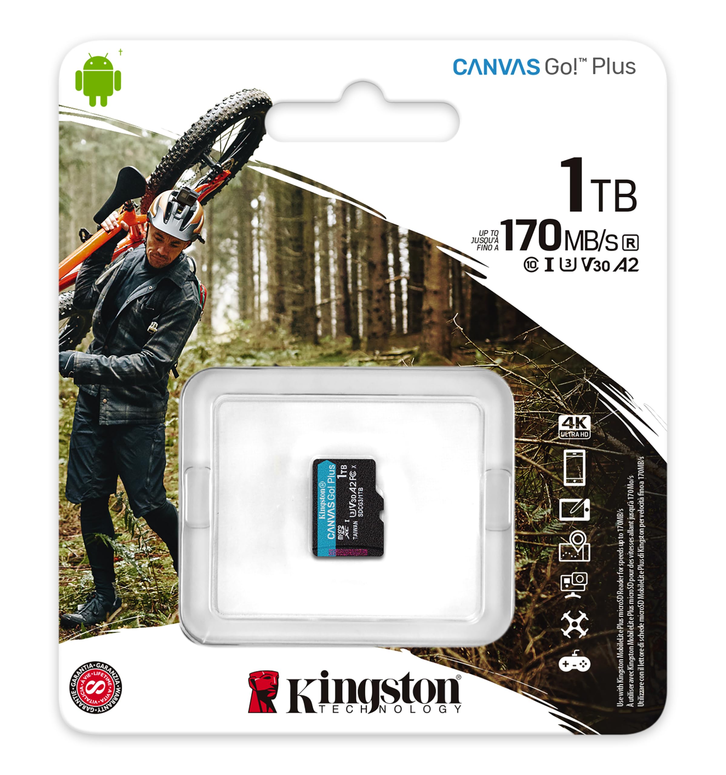 1TB microSDXC Canvas GoPl SP