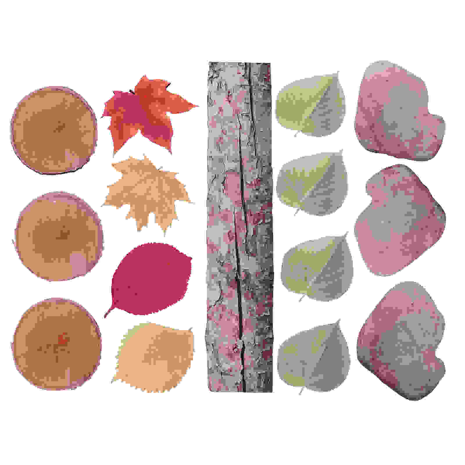 Nature's Footsteps - Set of 15