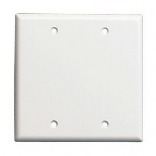 001-88025 2G White Blank Plate
