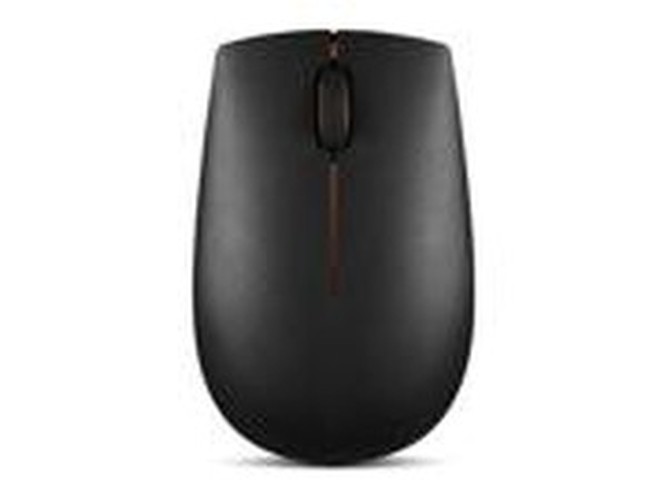 300 Wireless Mouse-NA