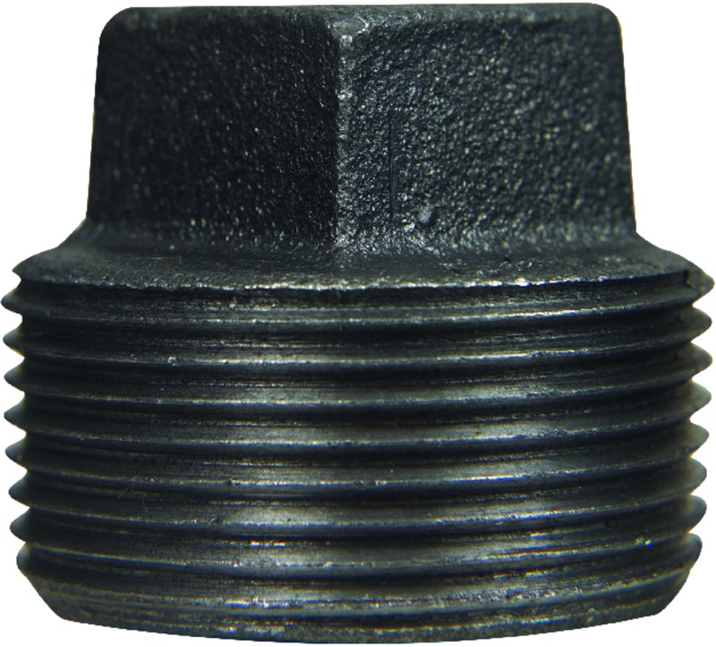 1/2 Black Plug