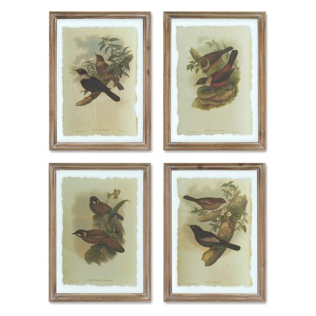 Framed Birds Print (Set of 4) 19.75"H Wood/Glass