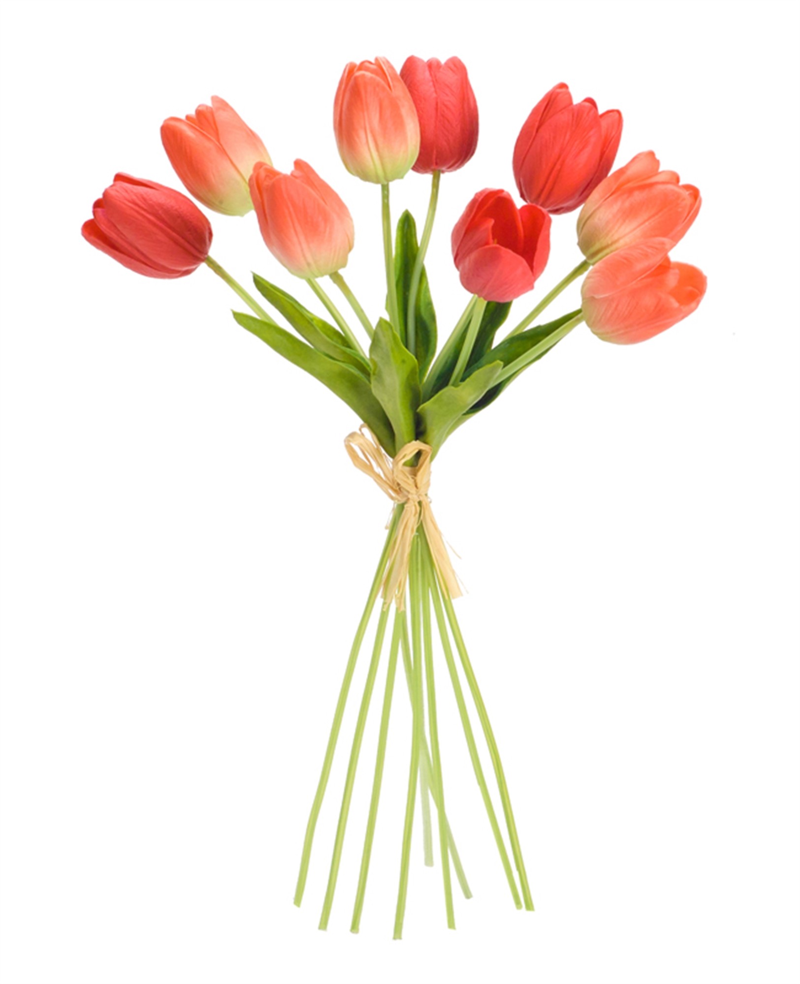 Tulip Bundle (Set of 6) 15"H