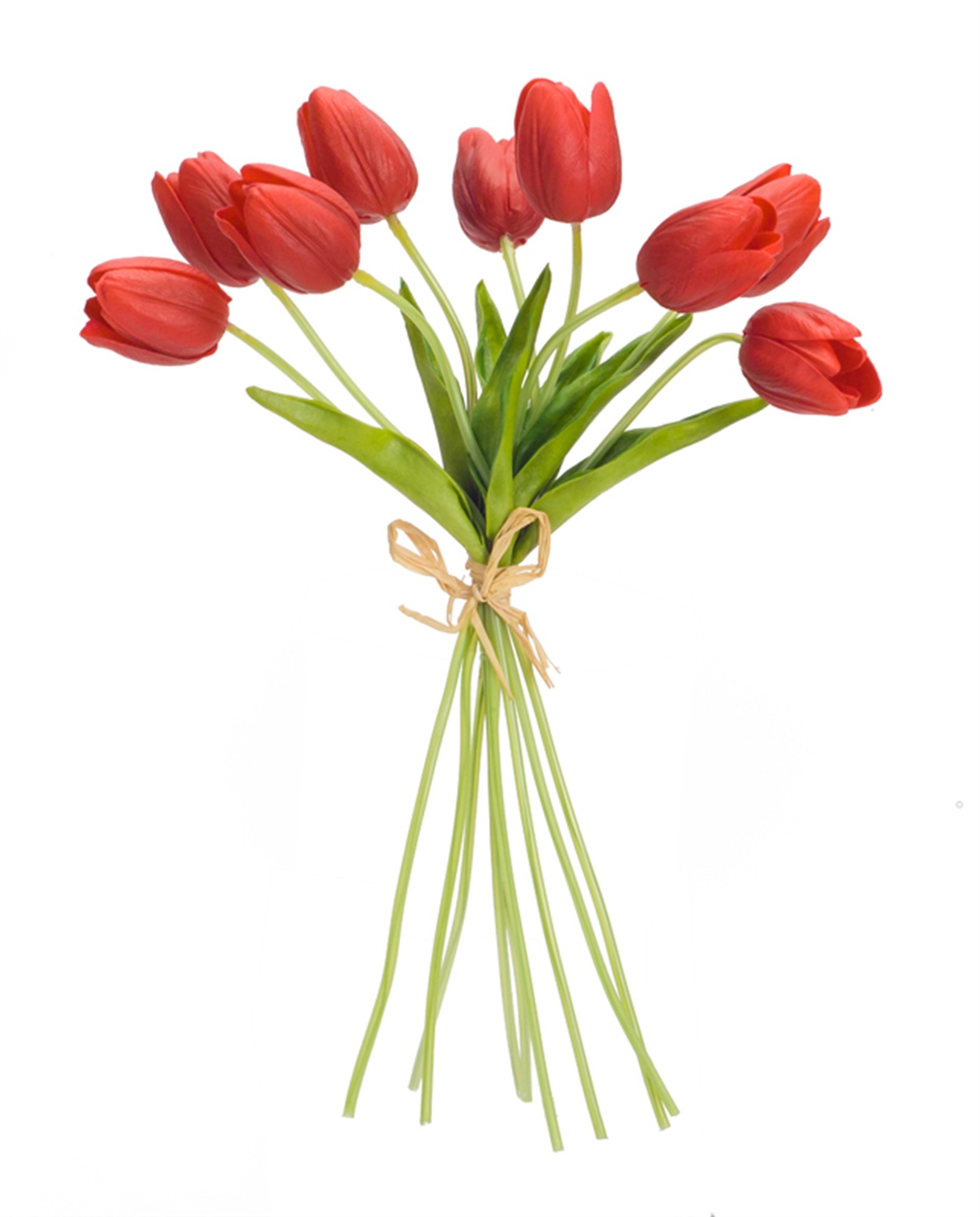 Tulip Bundle (Set of 6) 15"H