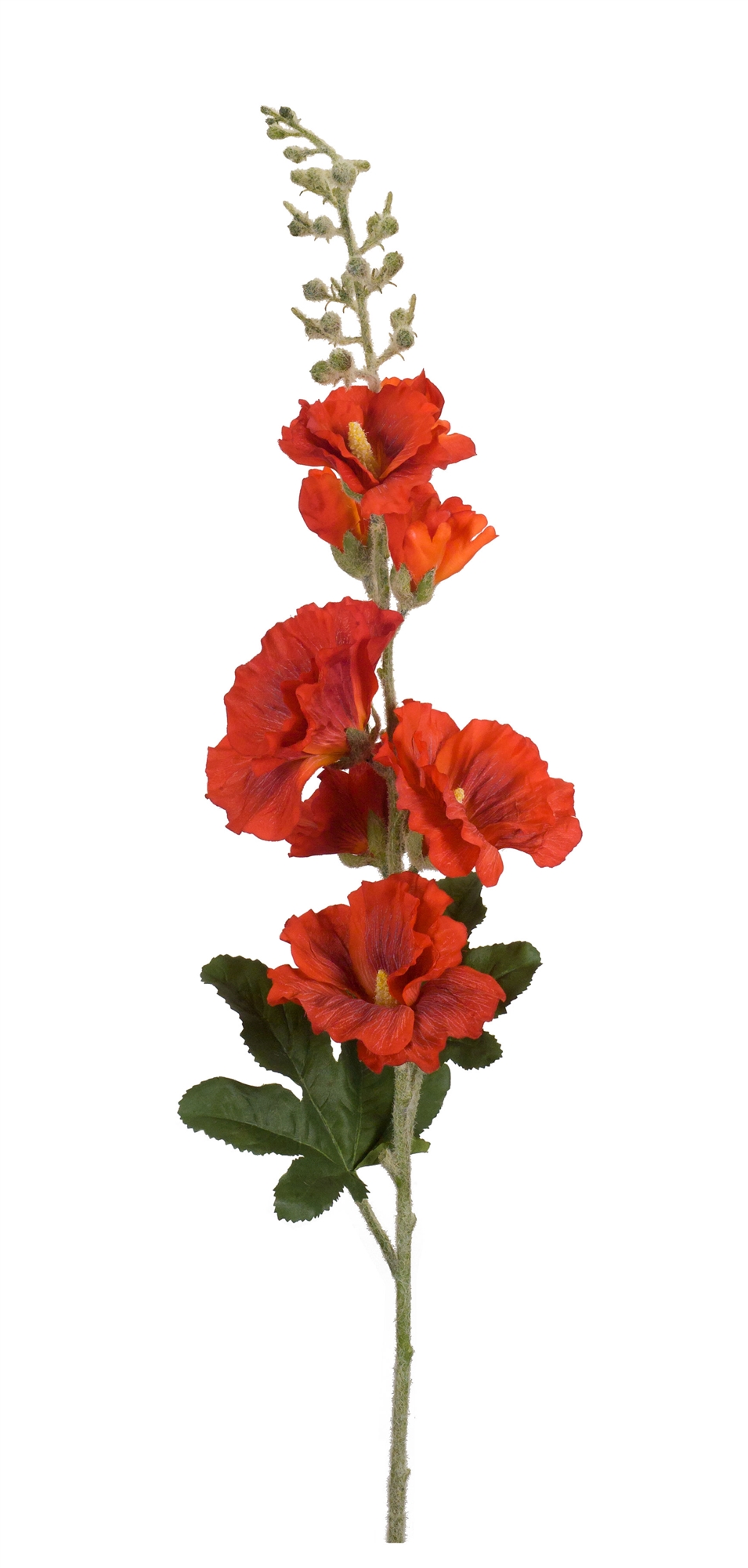 Hollyhock (Set of 6) 36"H Polyester/Plastic