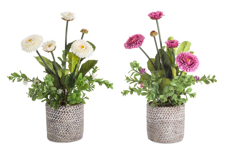 Potted Mum (Set of 2) 14"H Polyester/Cement