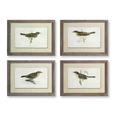 Framed Bird Print (Set of 4) 23.5" x 17.75"H Wood/Glass