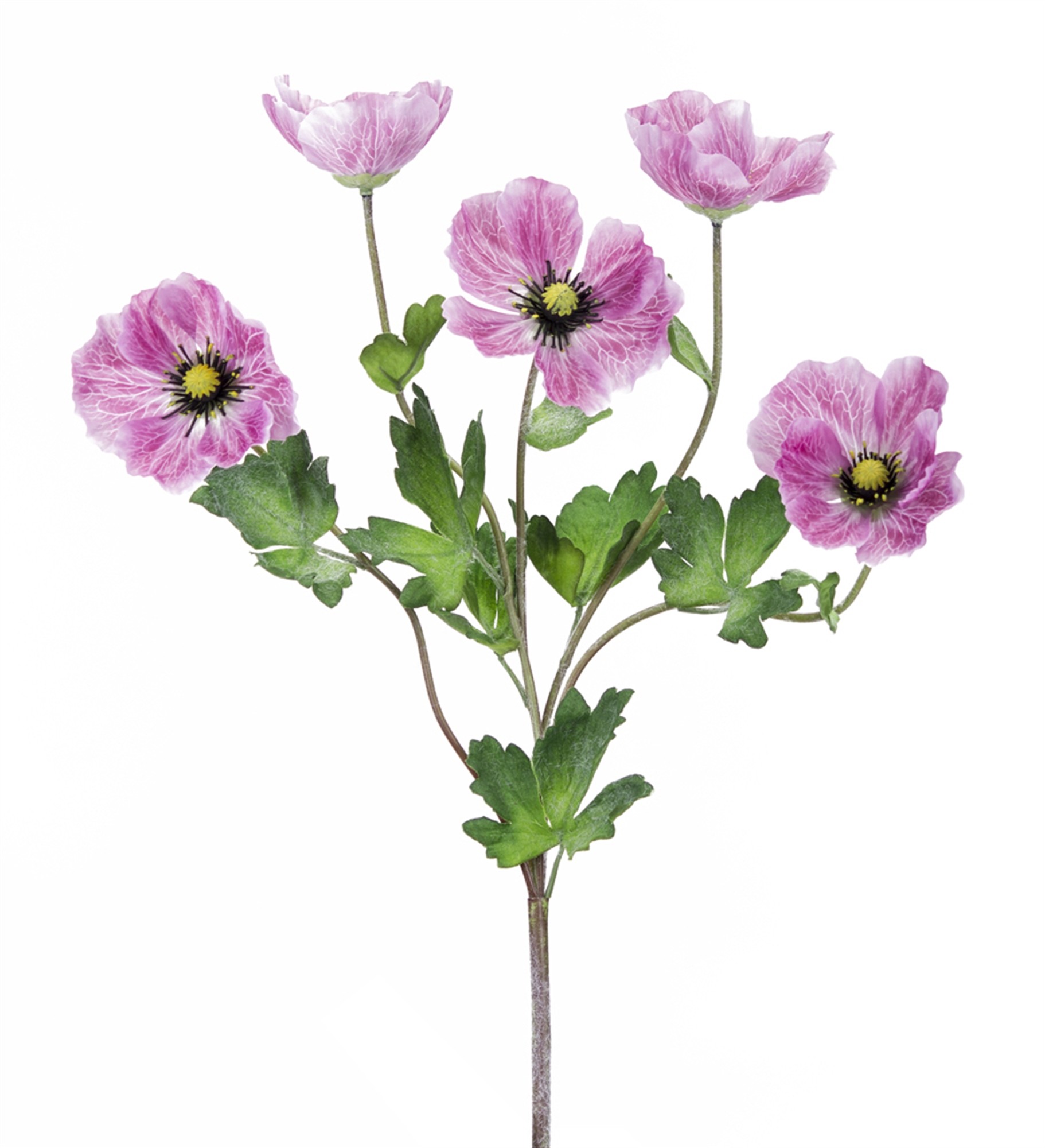 Anemone Bush (Set of 12) 18"H Polyester/Plastic