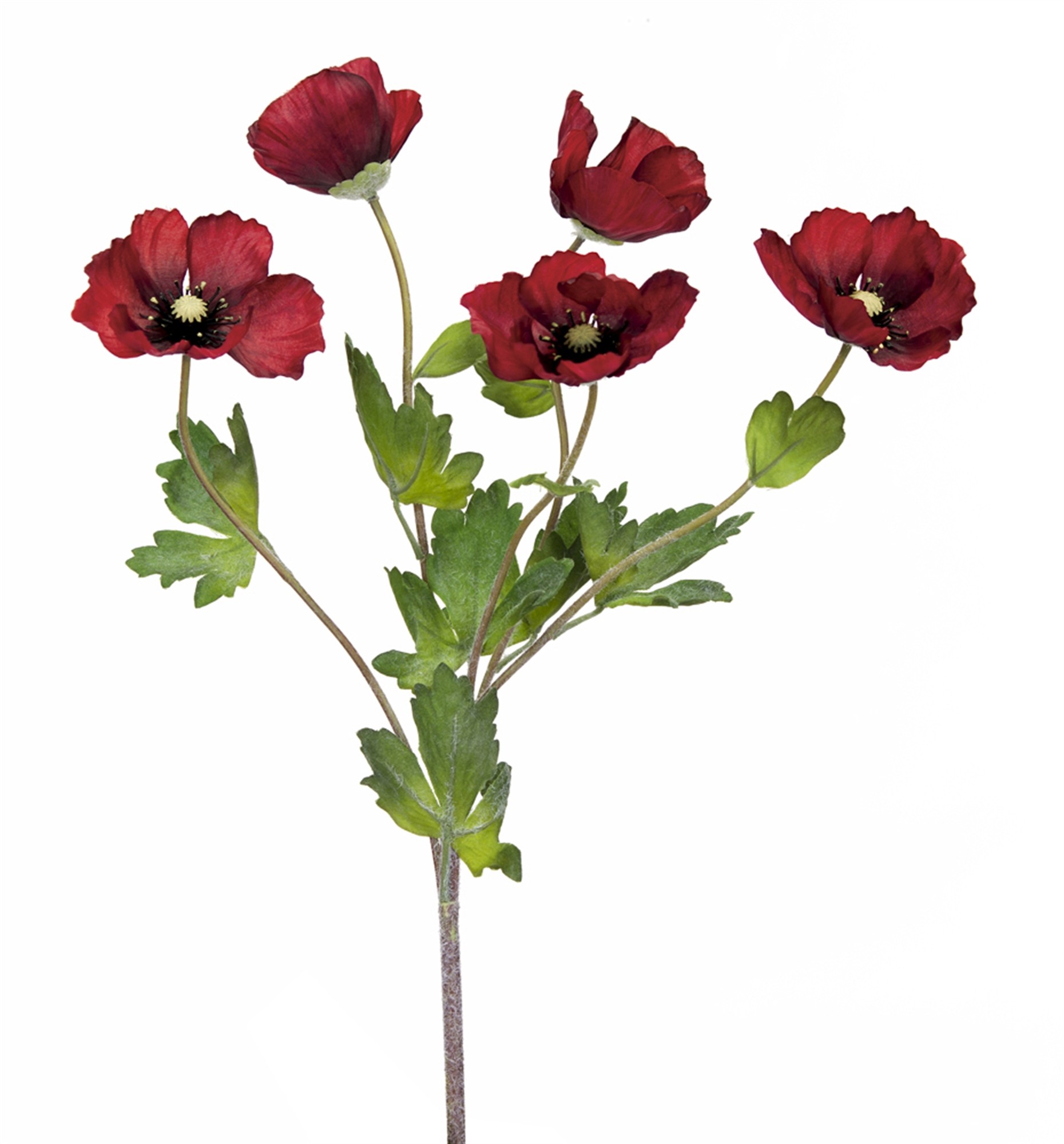 Anemone Bush (Set of 12) 18"H Polyester/Plastic