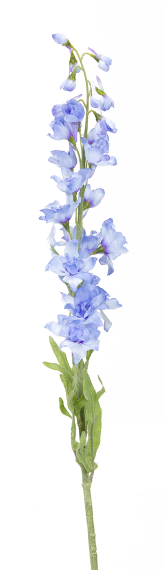 Delphinium (Set of 12) 28"H Polyester