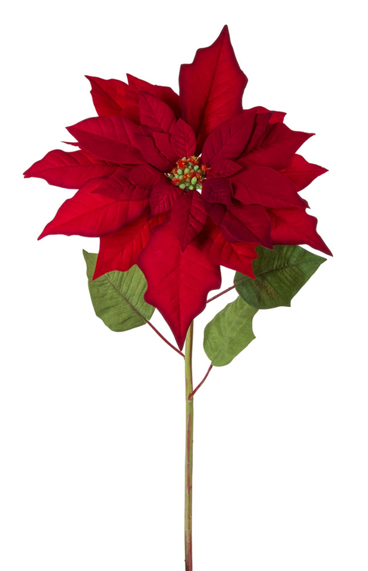 Poinsettia Stem 31"H (Set of 6) Polyester