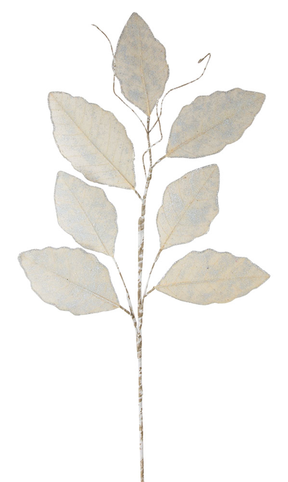Magnolia Leaf Spray 31.5"H (Set of 12) Paper