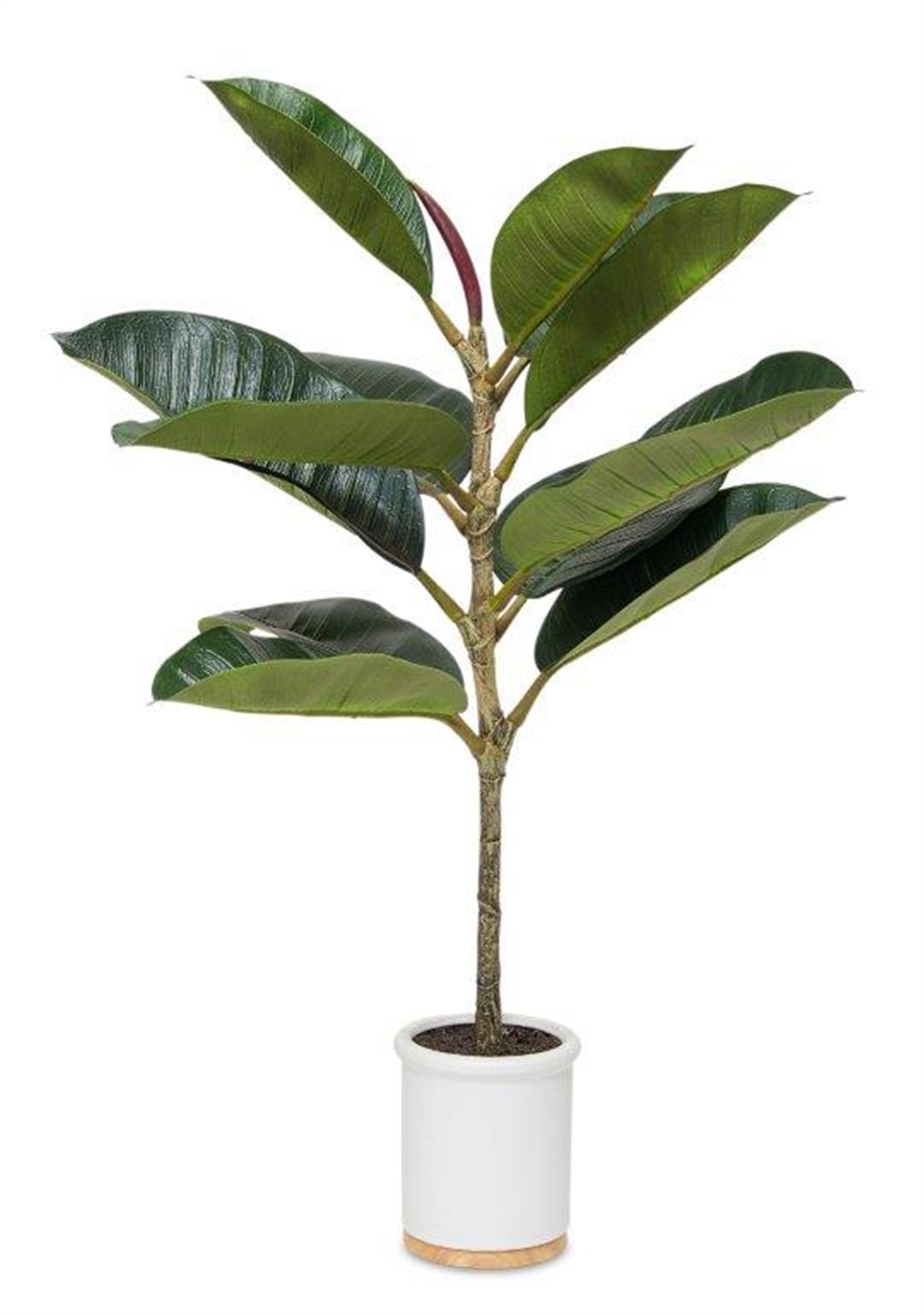 Potted Rubber Plant 30"H Polyester/Ceramic