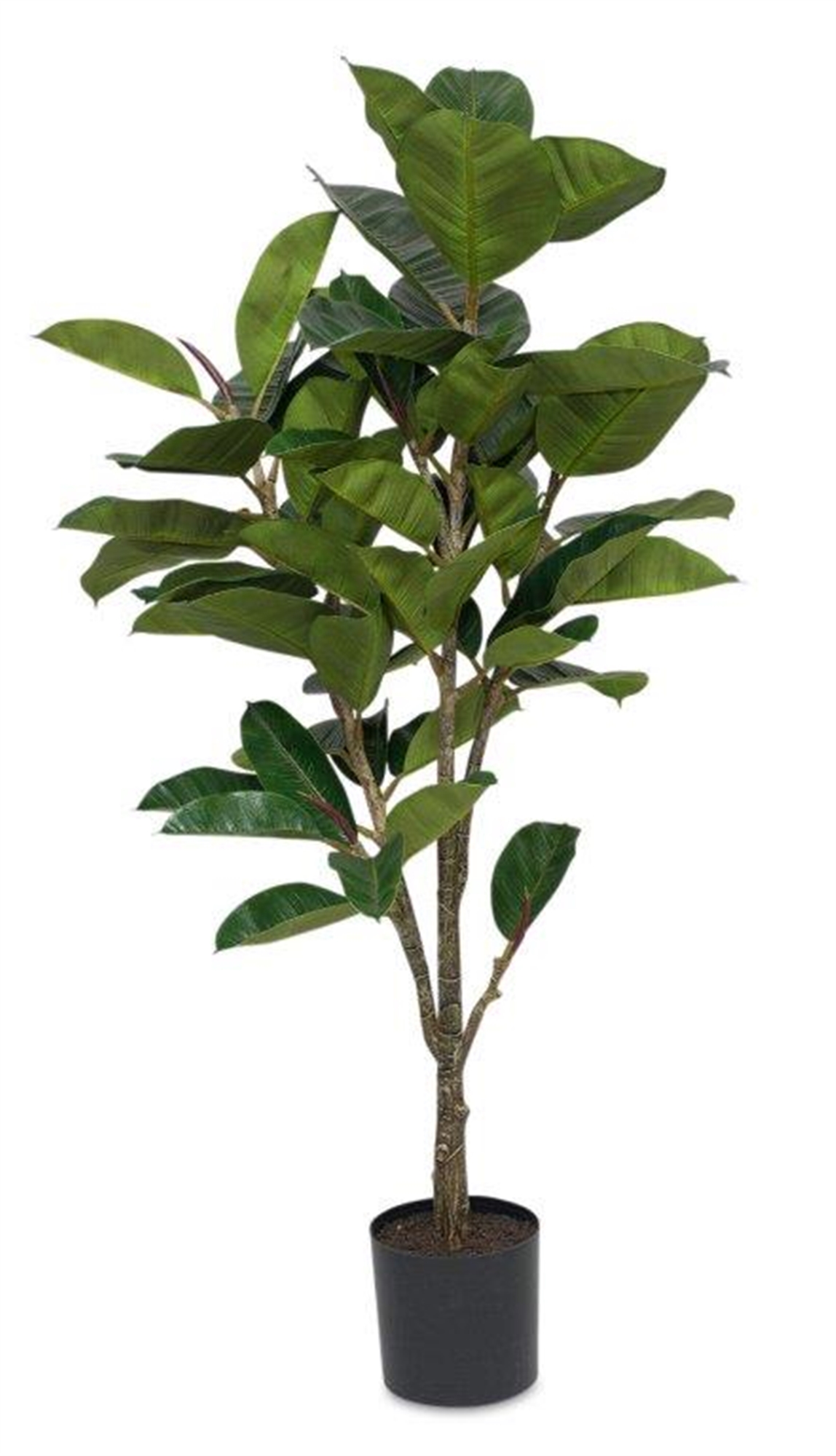 Potted Rubber Plant 57"H Polyester/Plastic