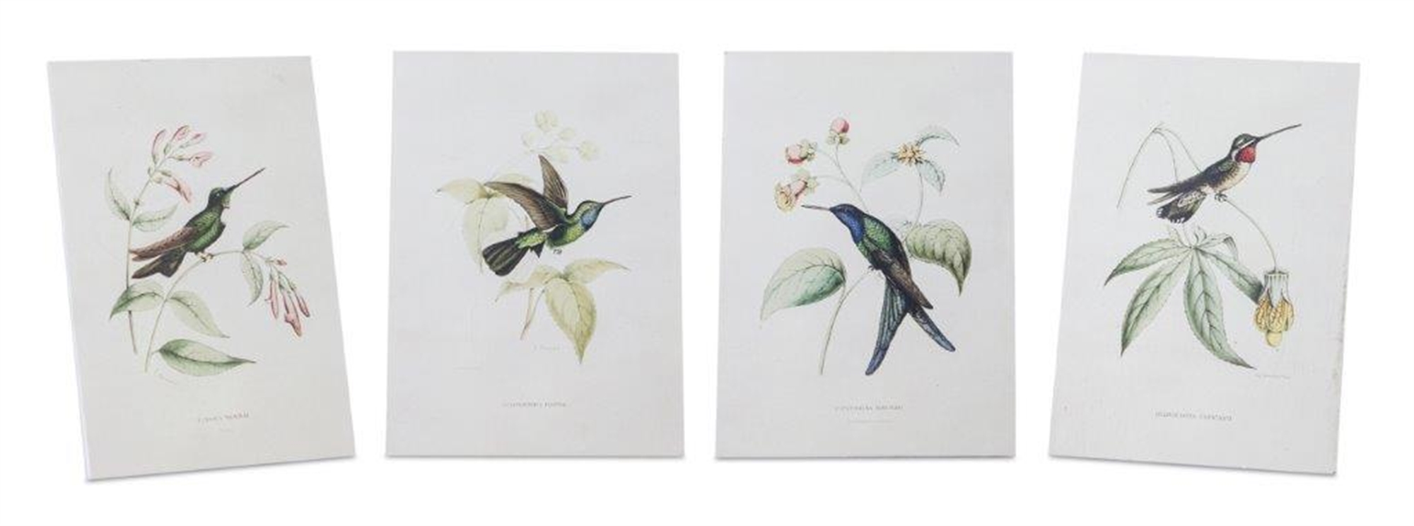 Hummingbird Print (Set of 4) 5.5"L x 8"H Wood/MDF/Paper