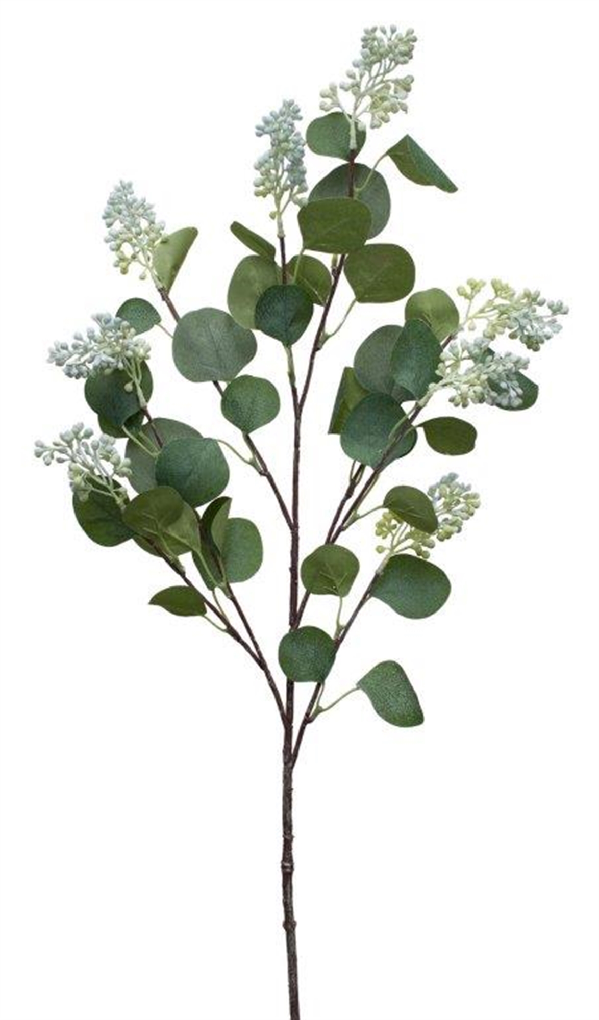 Seeded Eucalyptus Spray (Set of 4) 26.5"H Polyester/Plastic