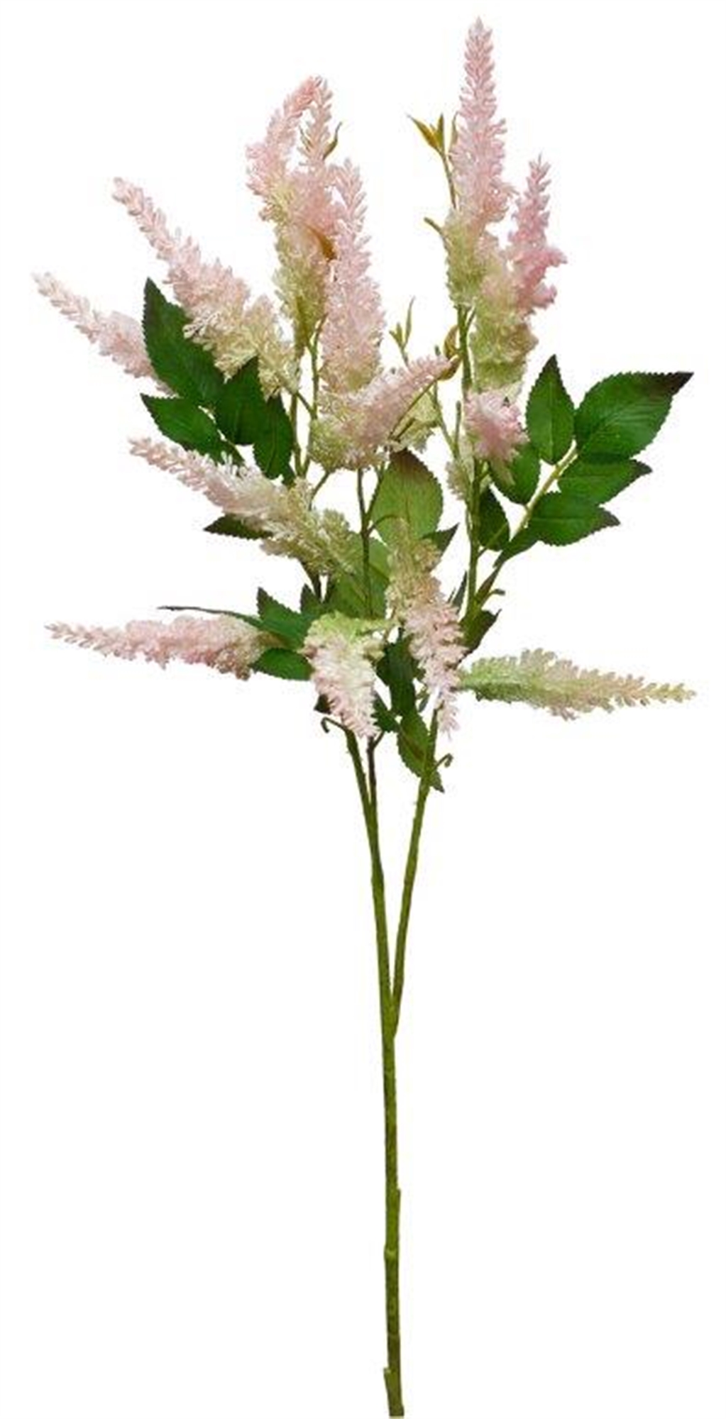 Astilbe Spray (Set of 4) 34.25"H Plastic/Polyester