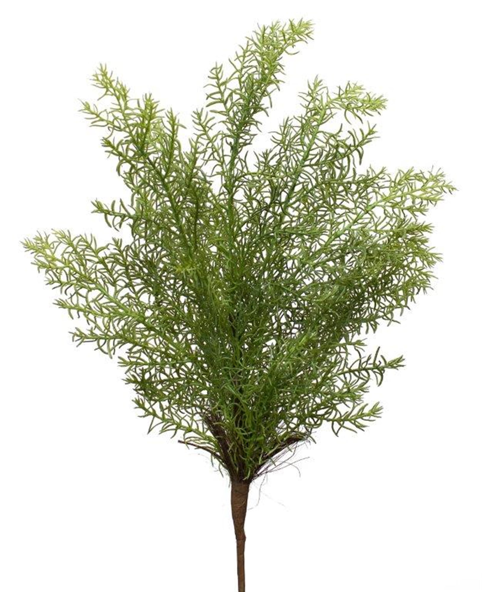 Asparagus Fern (Set of 2) 17"H Plastic