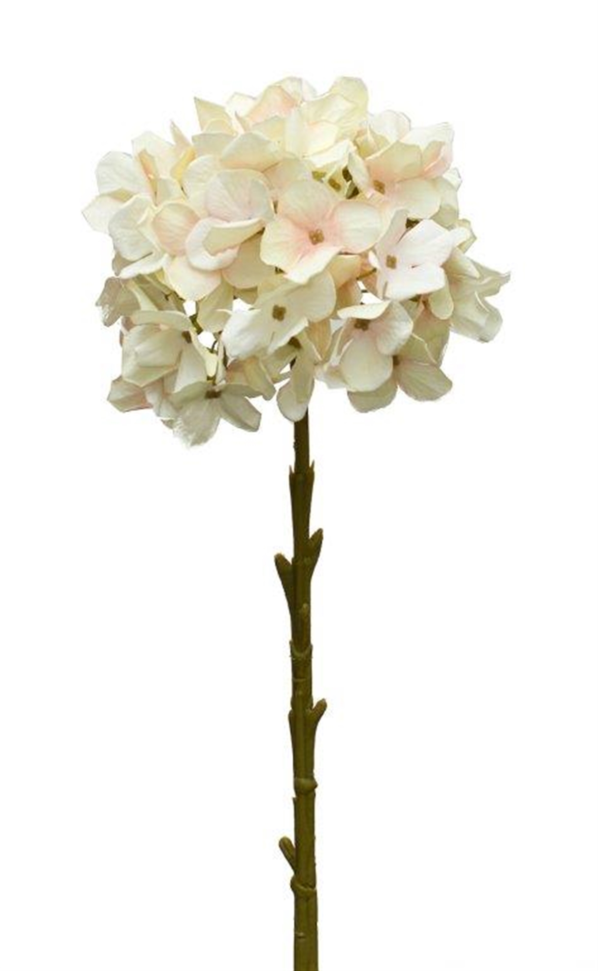 Hydrangea Stem (Set of 4) 18"H Polyester