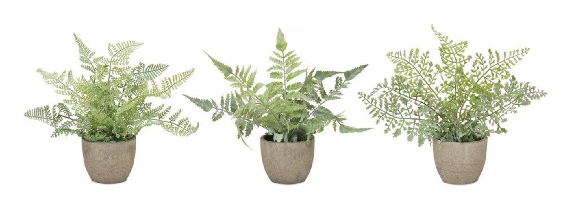 Potted Fern (Set of 3) 9.5"H Plastic