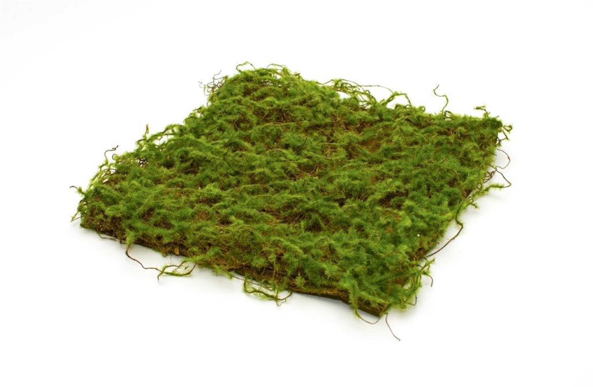 Moss Pad (Set of 6) 12.5" Plastic