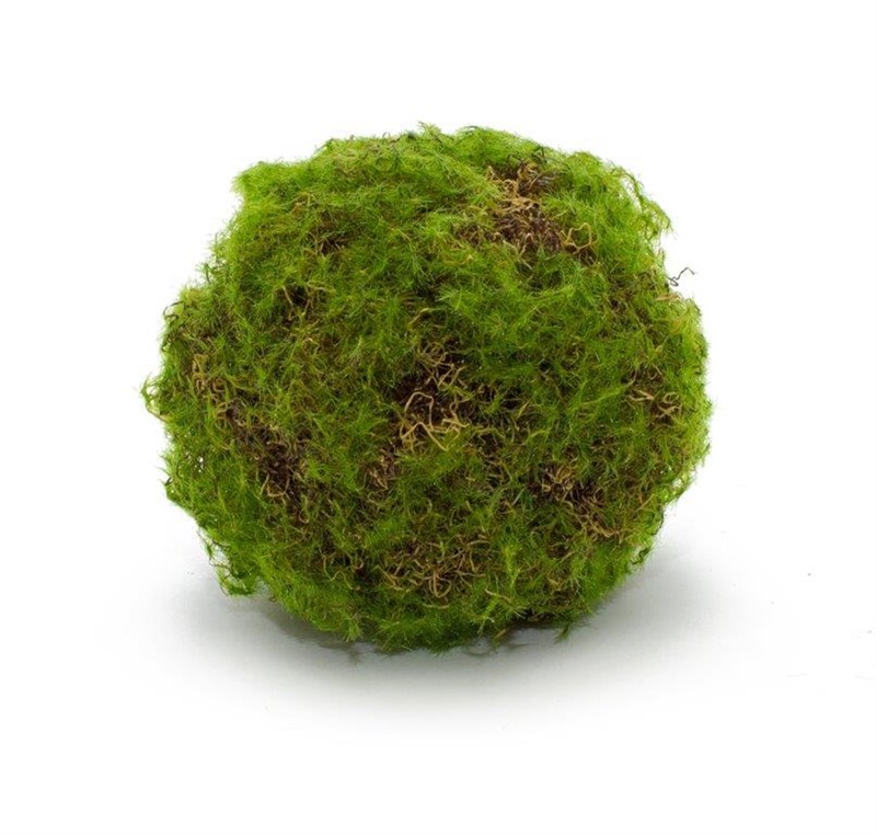 Moss Ball (Set of 4) 4.75"D Plastic