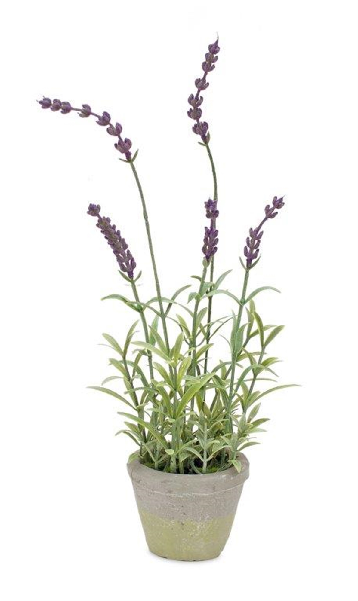 Potted Lavender 13.5"H Plastic