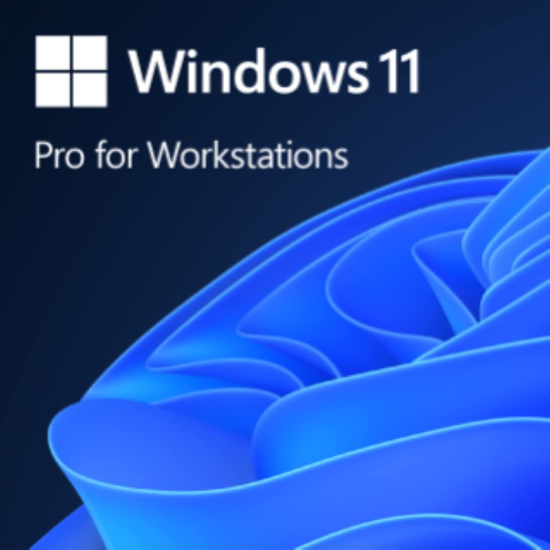 Windows 11Pro for Workstations