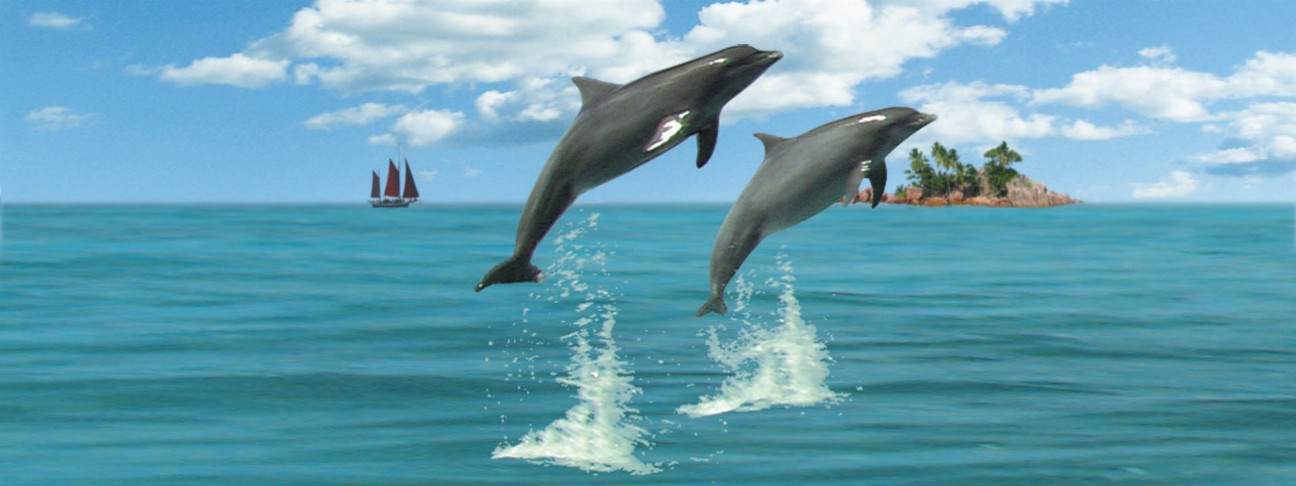 Animal Art - Motion Bookmark/ 6" Ruler - Dolphins Jumping