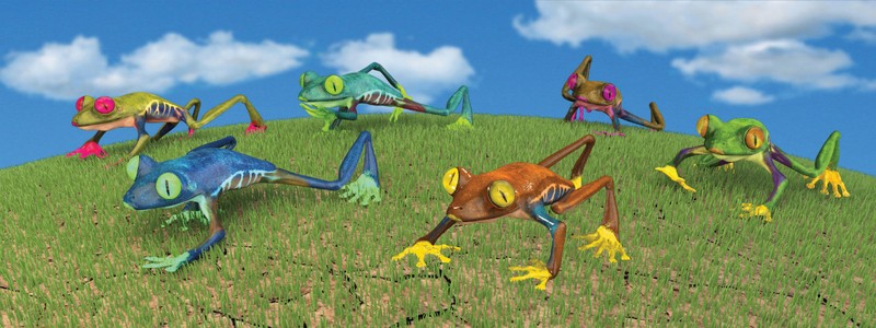 Animal Art - Motion Bookmark/ 6" Ruler - Frogs